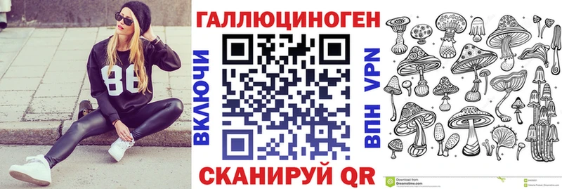 omg зеркало  Волхов  Галлюциногенные грибы Psilocybine cubensis 