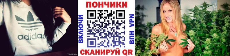 где продают наркотики  ссылка на мегу tor  Каннабис White Widow  Волхов 